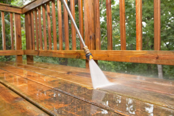 Animal Enclosure Cleaning in St James, NC